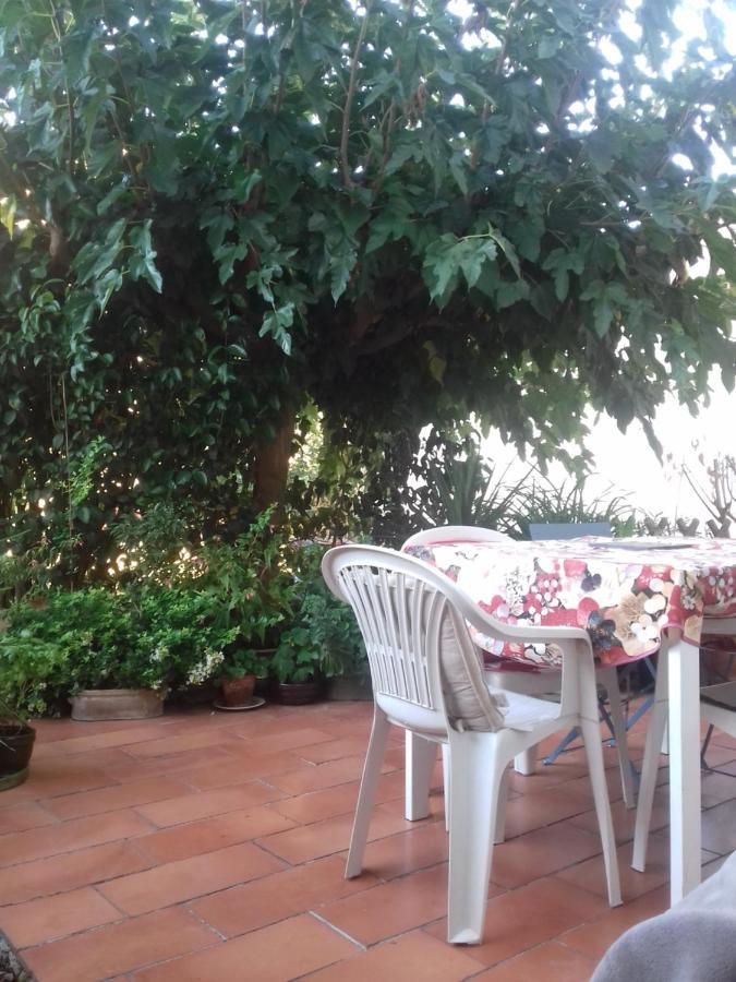 Les Trois Rois Homestay